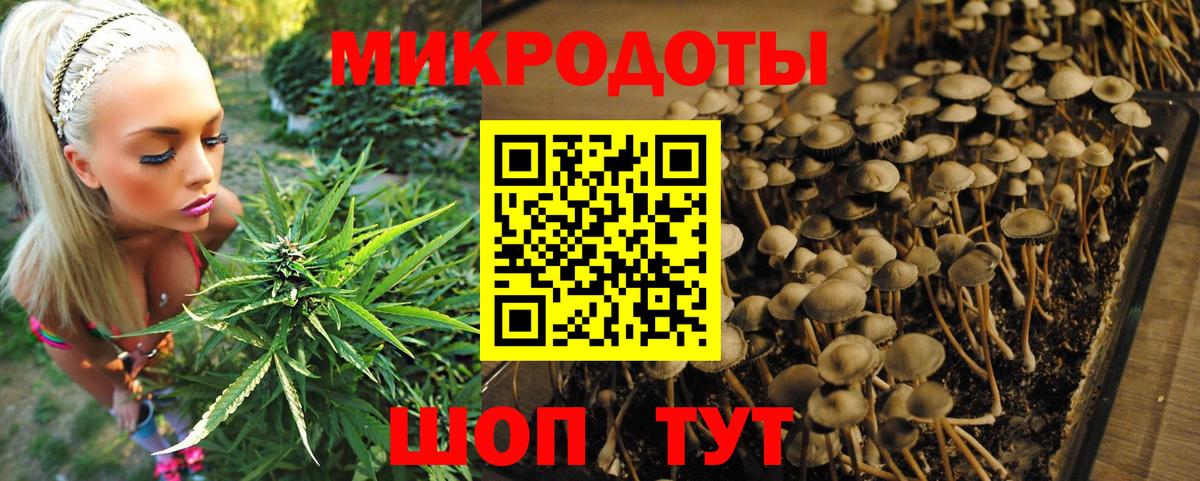 Псилоцибиновые грибы Psilocybine cubensis  Вход с VPN  Подольск  Галлюциногенные грибы GOLDEN TEACHER 